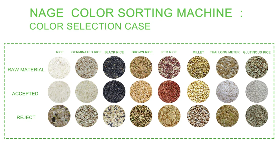 Color and Size Sorting Machine Cashew Nut Processing Machine Line