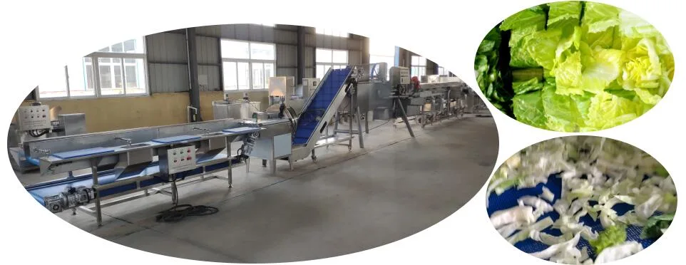 Automatic Frozen Multi Fruit and Vegetable Salad Washing Cutting Slicer Drying Processing Making Machine Air Cleaning Sorting Production Line