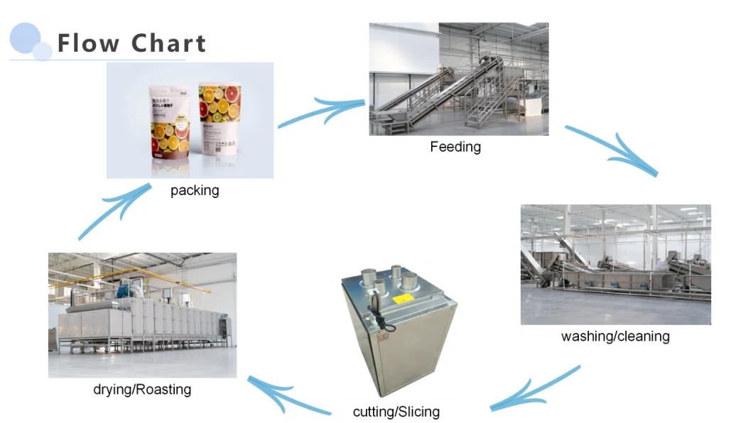 Cashew Nut Production Line/Cashew Nuts Processing Machine/Cashew Nuts Roasting Machine