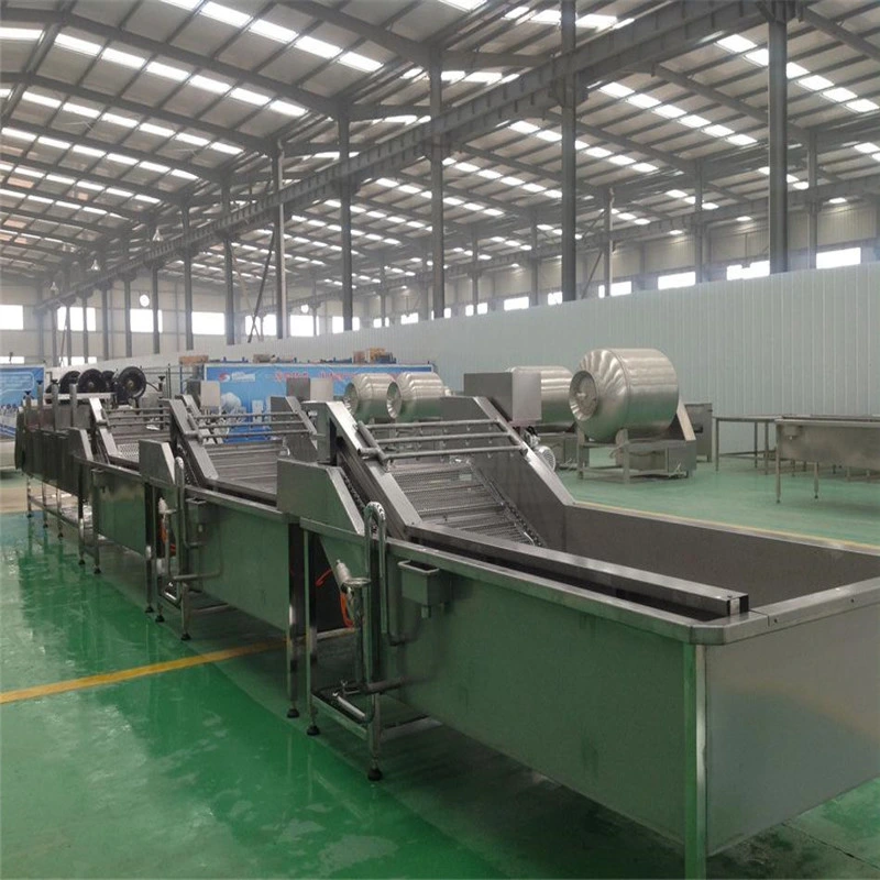 Automatic Sweet Potatoes Washing Drying and Grading Machine Auto Potato Dry Cleaning, Sorting Packing Line Cheap Price for Sale