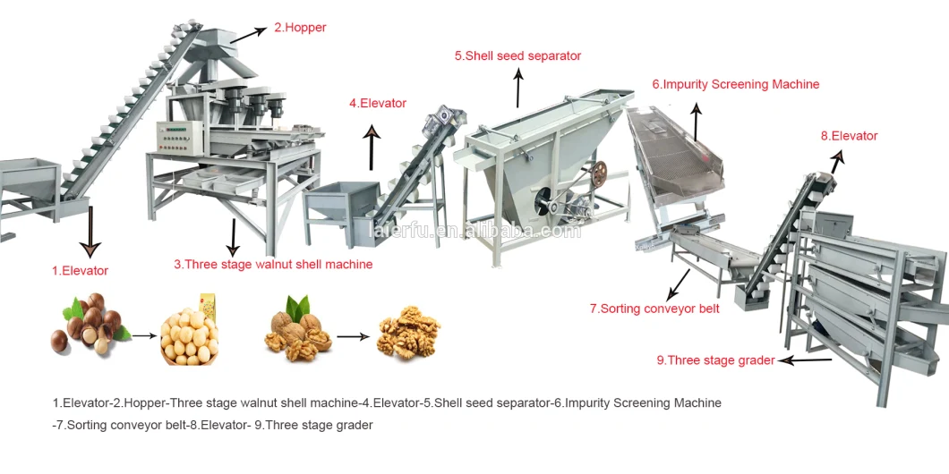 Hot Sale Nut Shelling Processing Line Walnut Shelling Machine Pecan Shelling Machine Line