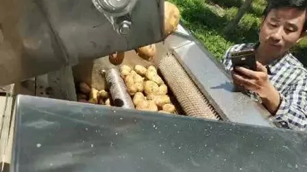 Macchina automatica per la produzione di patatine fritte, attrezzature per la produzione di patatine fritte, friggitrice continua