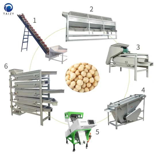 Frantumatore per noci, sgusciatrice per mandorle, macchina per la lavorazione di anacardi e noci di macadamia